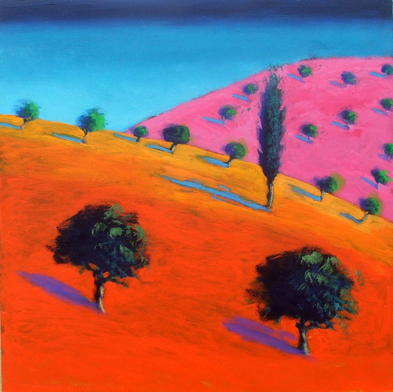 Pink Hill (acrílico no cartão) de Paul Powis