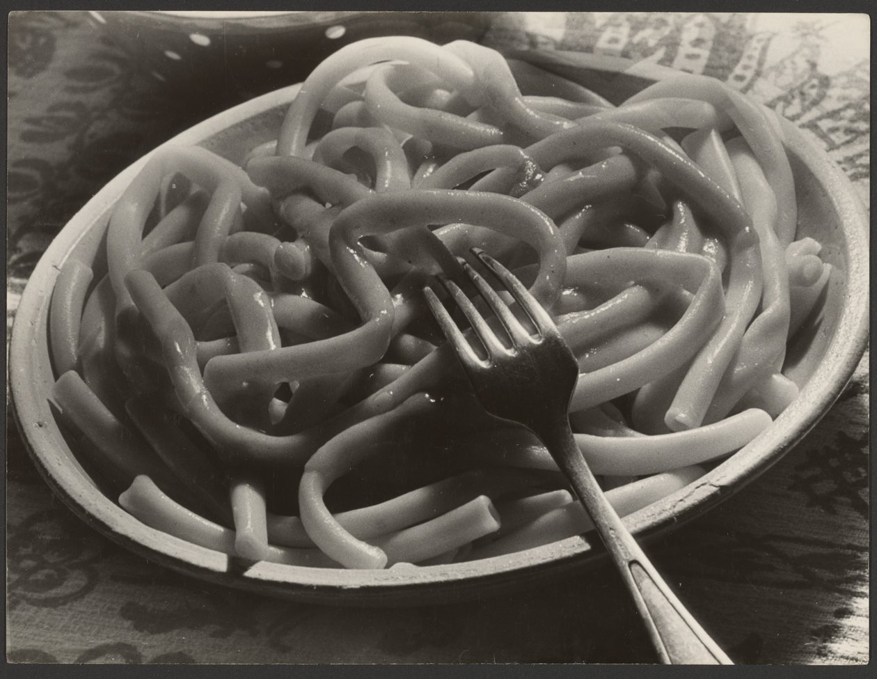 Prato de noodles com garfo de Paul Wolff