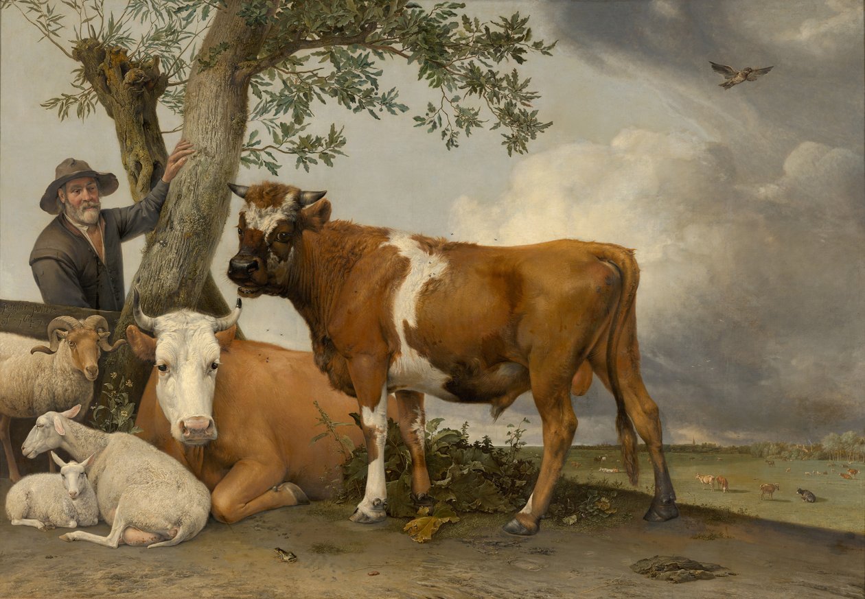 O touro, 1647 de Paulus Potter