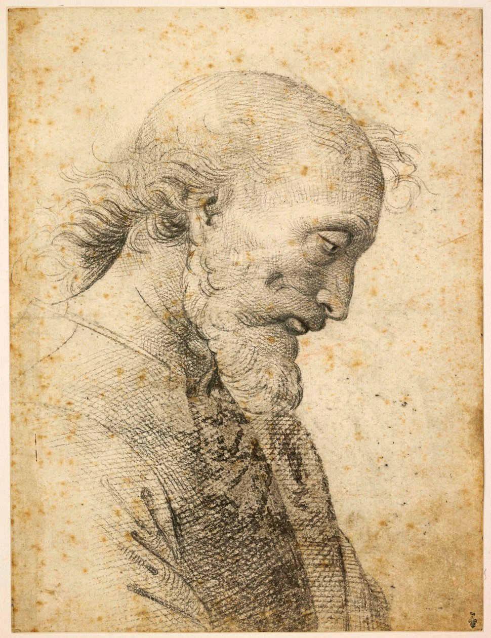 Busto de um homem, 1500-1503. de Perugino