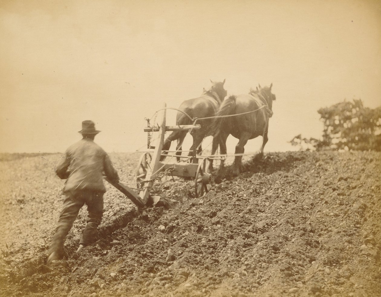 Um puxão duro de Peter Henry Emerson