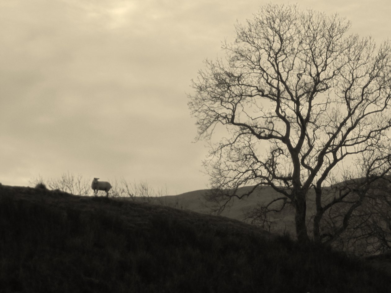 KINTYRE ... PLUS.9 de Peter McClure