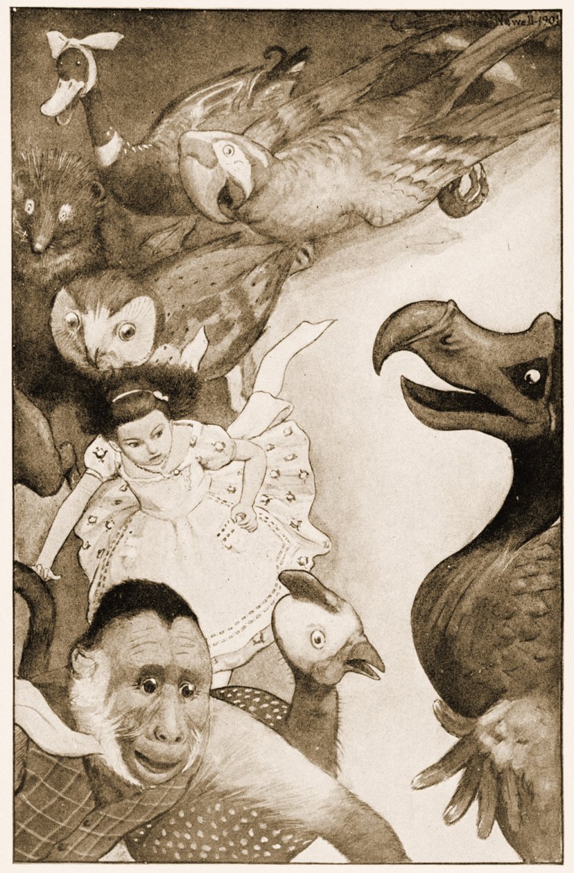 "The Caucus-Race", ilustração para as aventuras de Alice no País das Maravilhas de Lewis Carroll, 1901 de Peter Newell