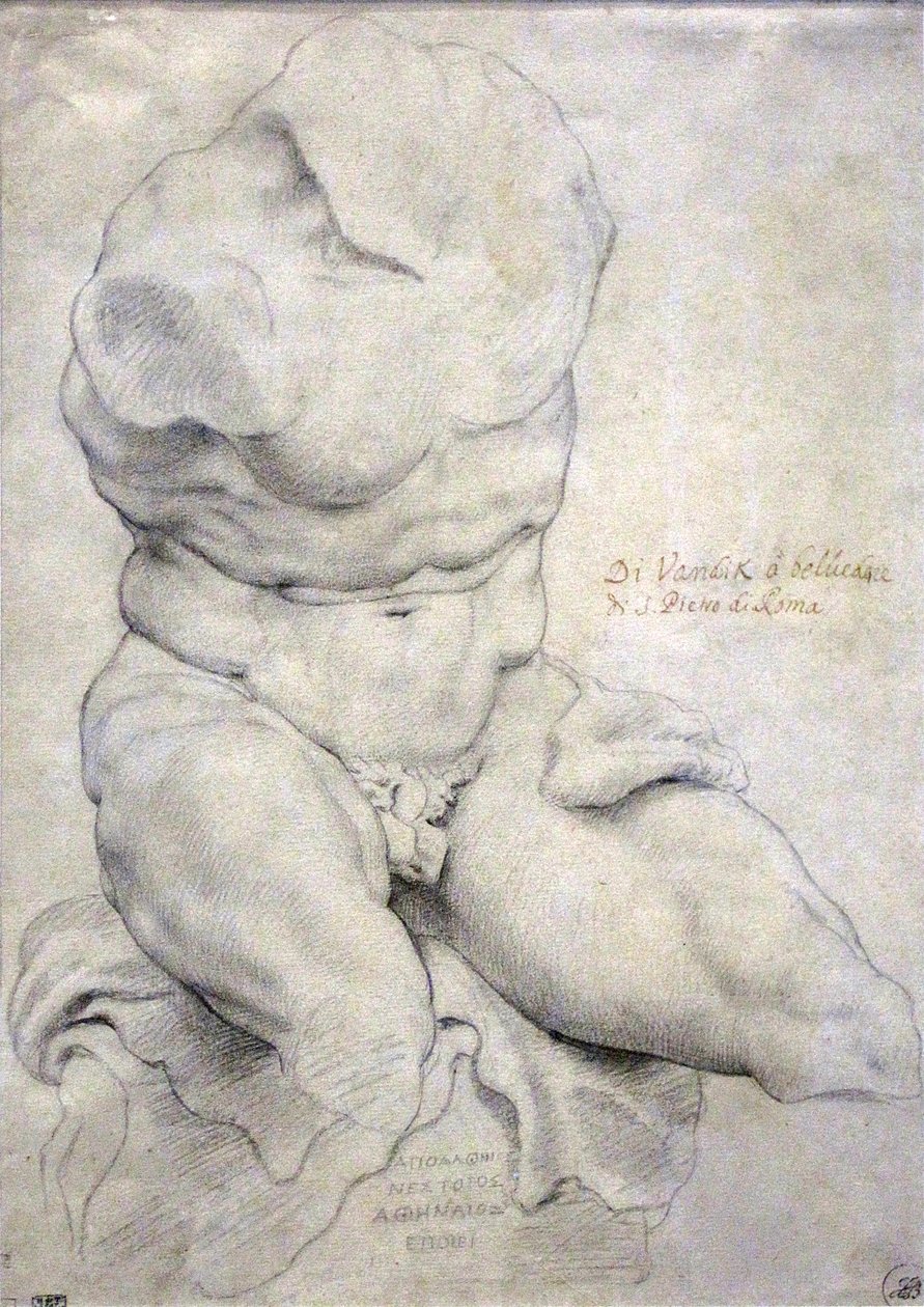 Torso Belvedere de Peter Paul Rubens