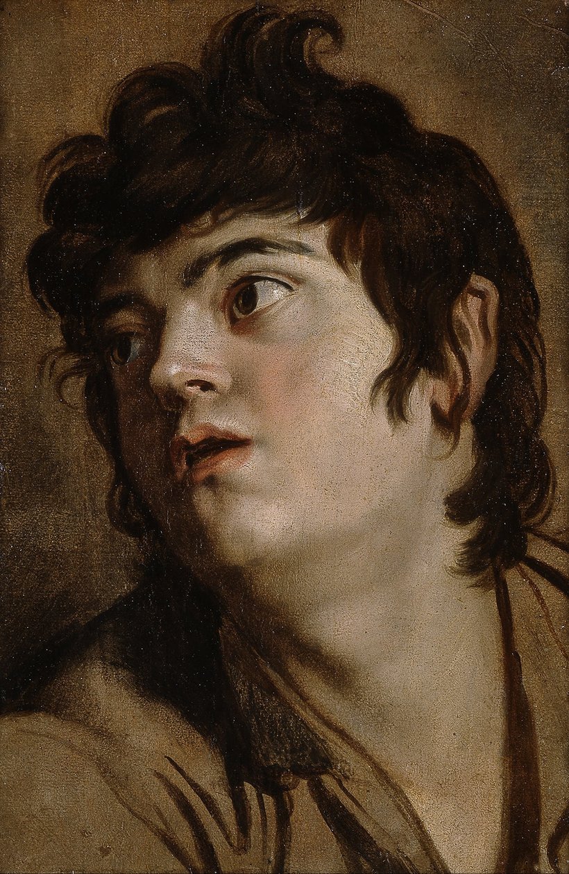 Cabeça de um jovem de Peter Paul Rubens