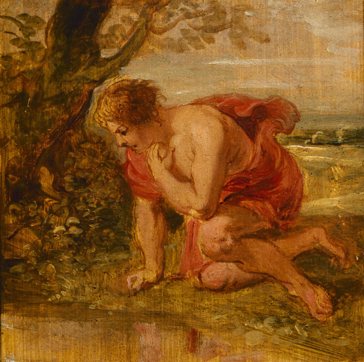 Narciso de Peter Paul Rubens
