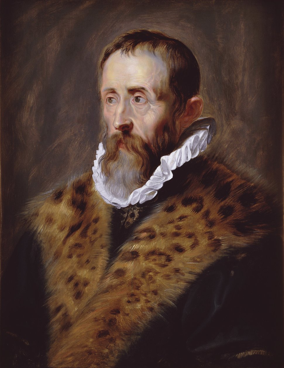 Retrato do Justus Lipsius de Peter Paul Rubens