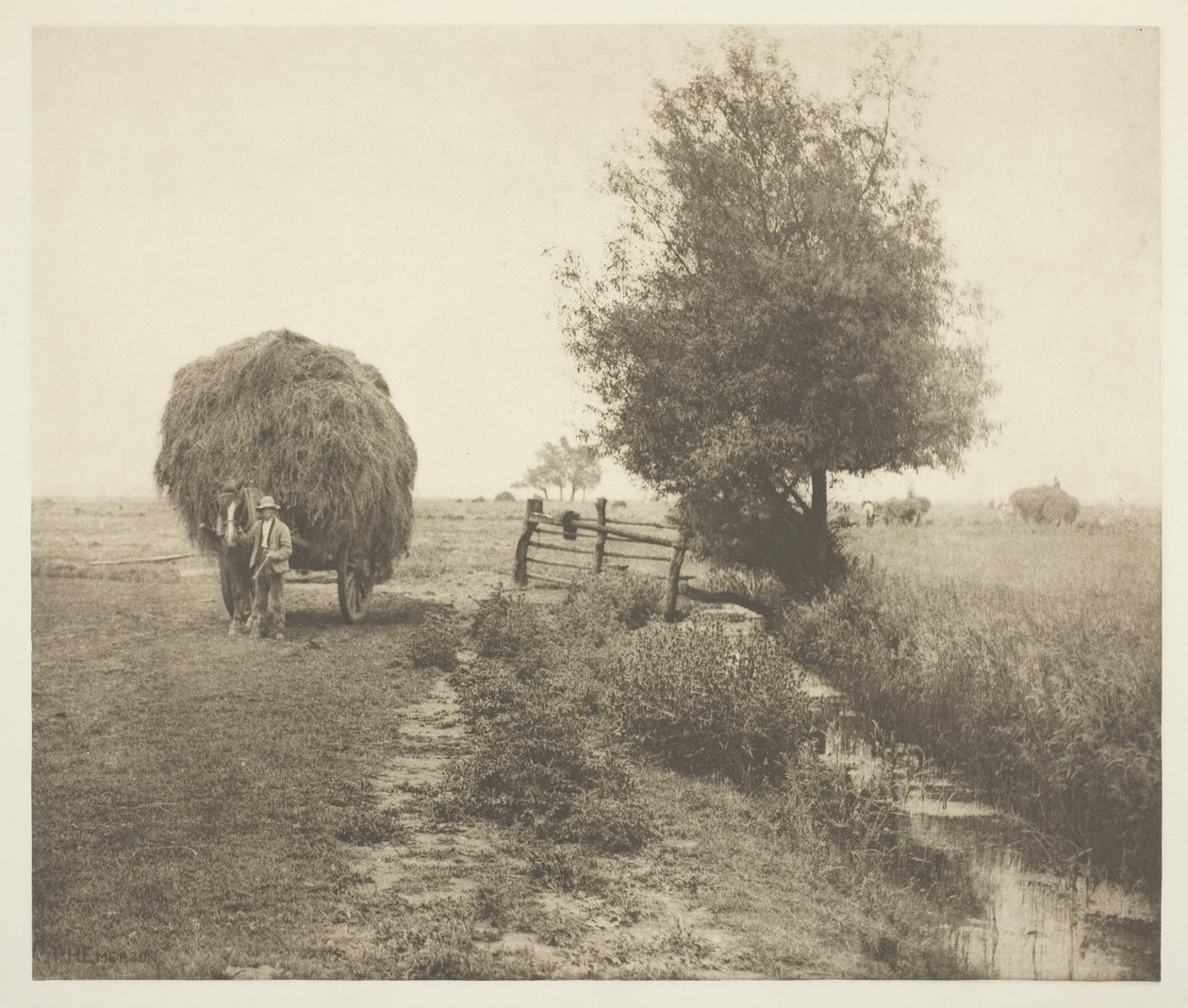 No Haysel (Norfolk) de Peter Henry Emerson