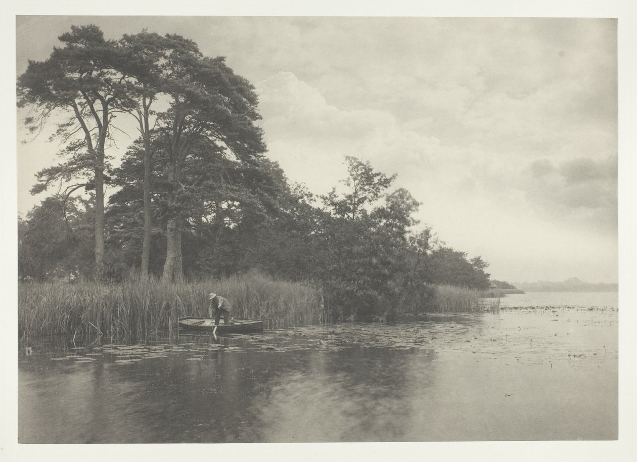 A Maldição do Pique de Peter Henry Emerson