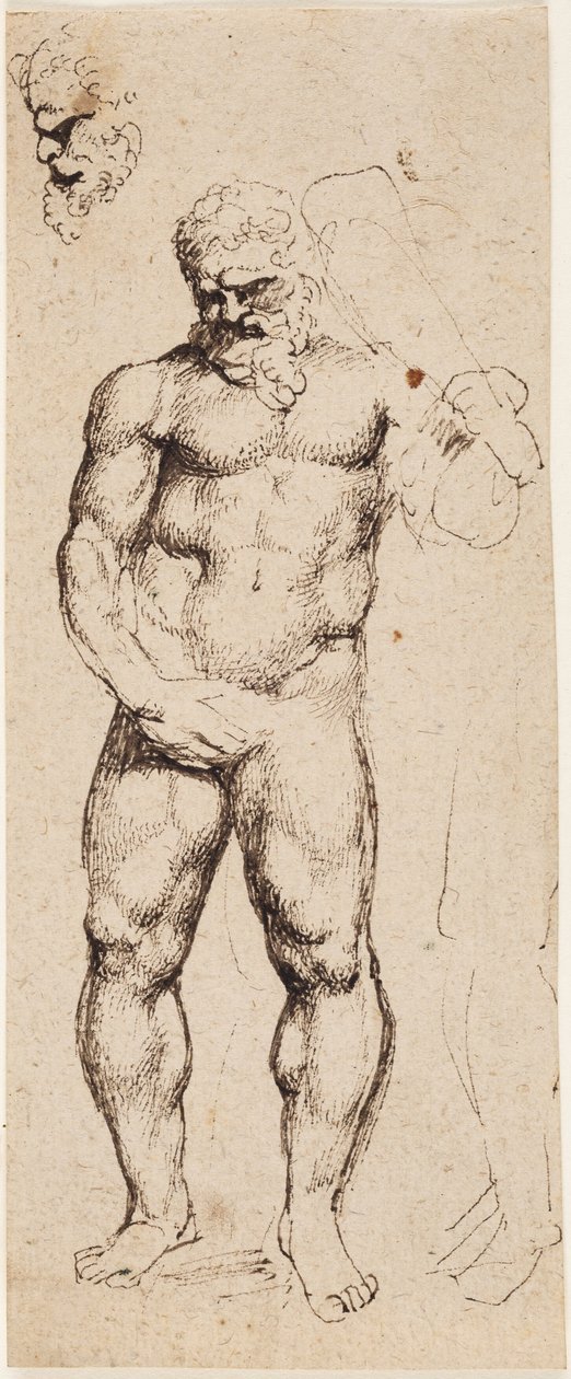 Hércules de Peter Paul Rubens