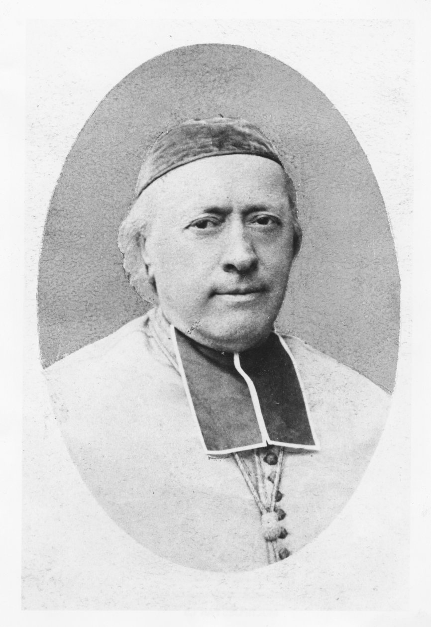 Retrato de Charles-Emile Freppel de Petit