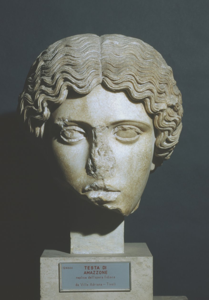 cabeça da Amazônia de Phidias Phidias