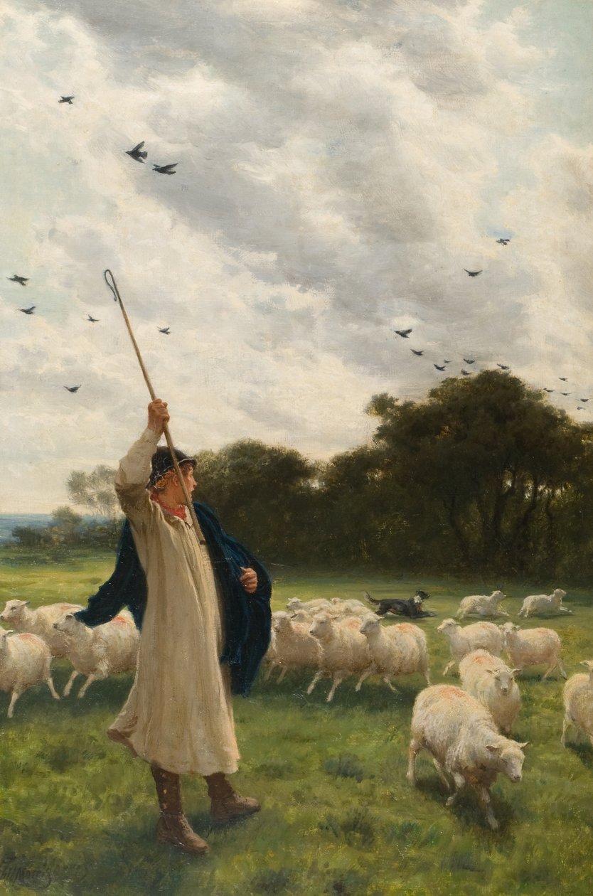 Mudança de pasto de Philip Richard Morris