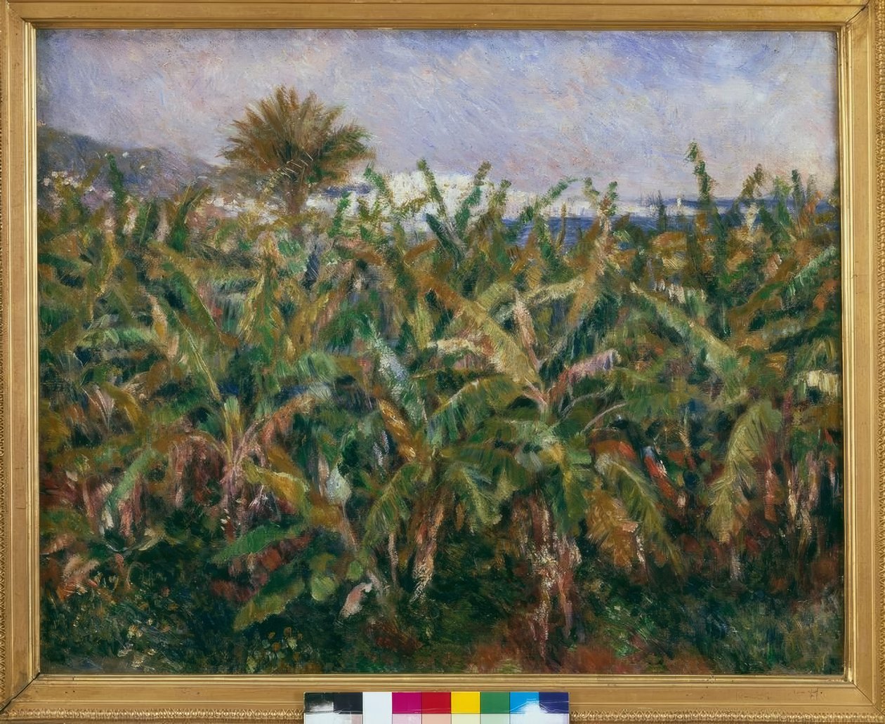 Campo de banana de Pierre Auguste Renoir