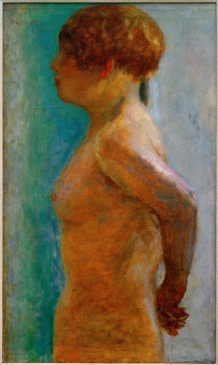 Torso da mulher no perfil de Pierre Bonnard