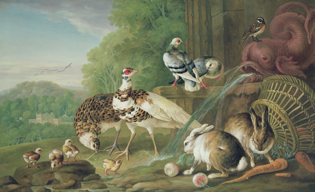 Aves e Coelhos de Pieter Casteels