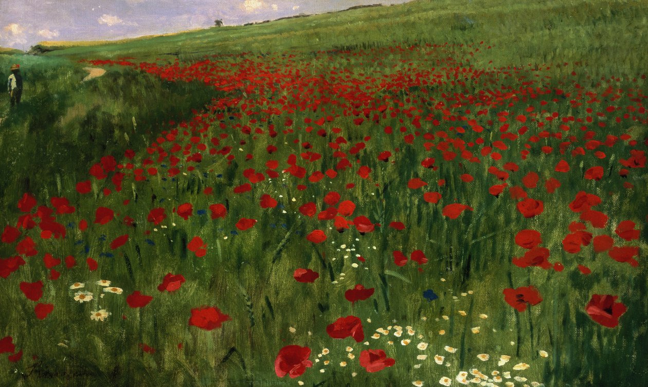 O campo da papoila, 1896 de Pál Szinyei Merse