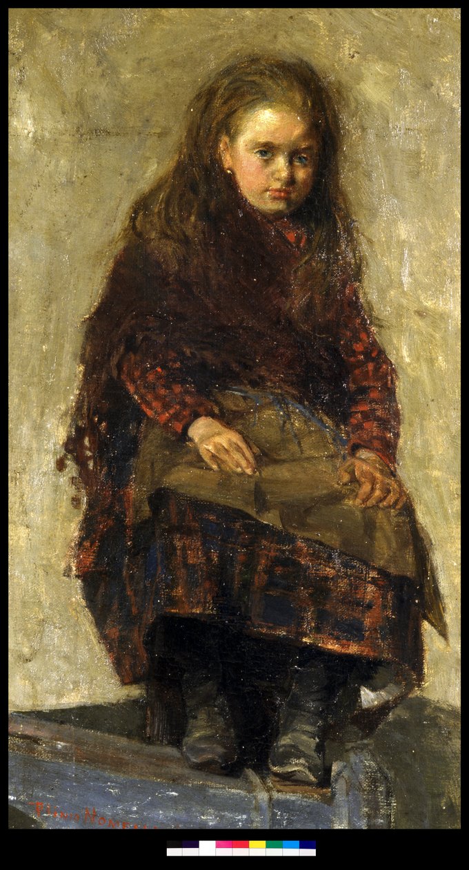 Imagem desconhecida de Plinio Nomellini