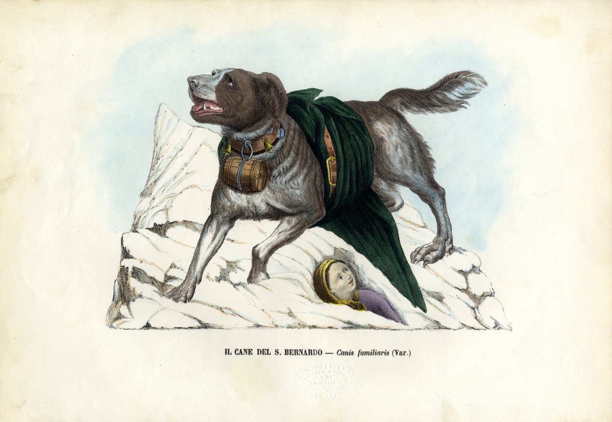 Cães, 1863-79 de Raimundo Petraroja