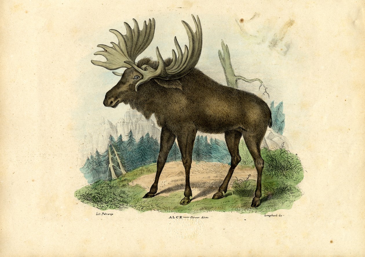 Cada um deles, 1863-79 de Raimundo Petraroja