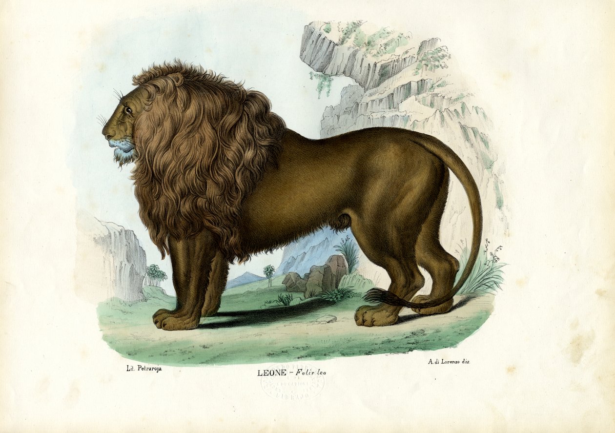 Leão, 1863-79 de Raimundo Petraroja