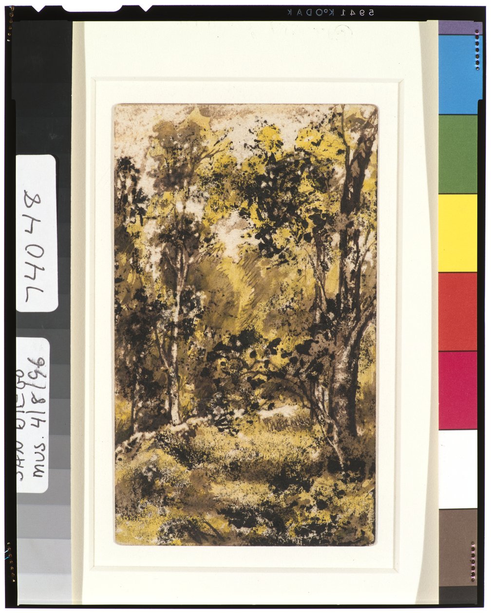 Cena da floresta, 1901-15 de Ralph Albert Blakelock