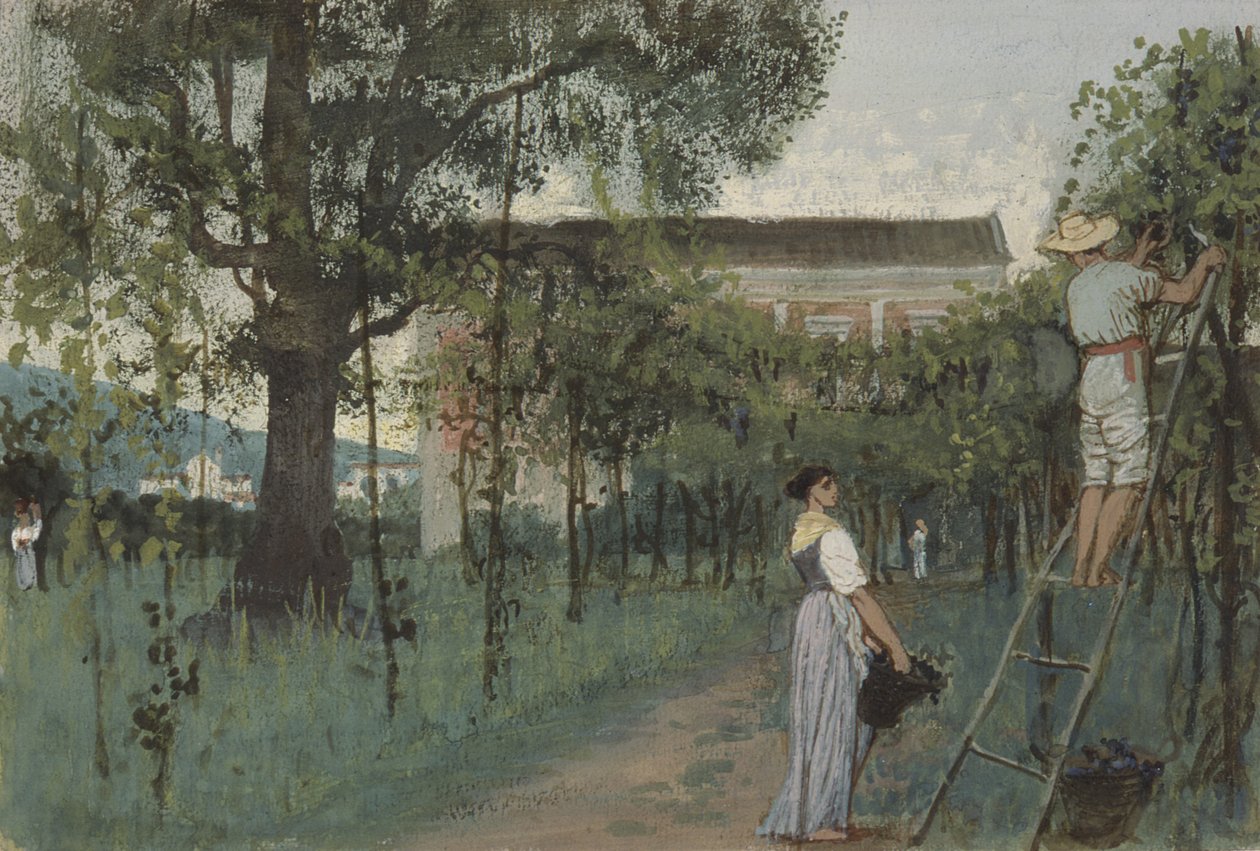 Colheita de uva de Randolph Caldecott