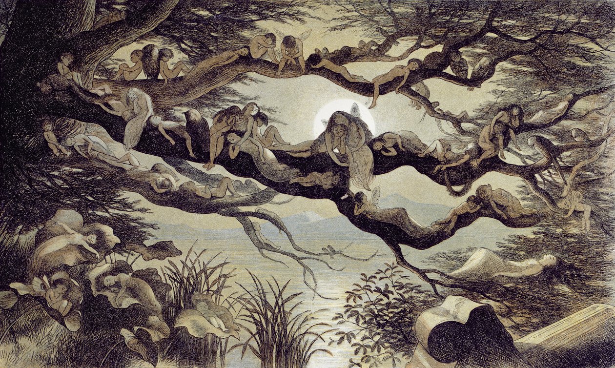 Dormindo ao luar de Richard Doyle