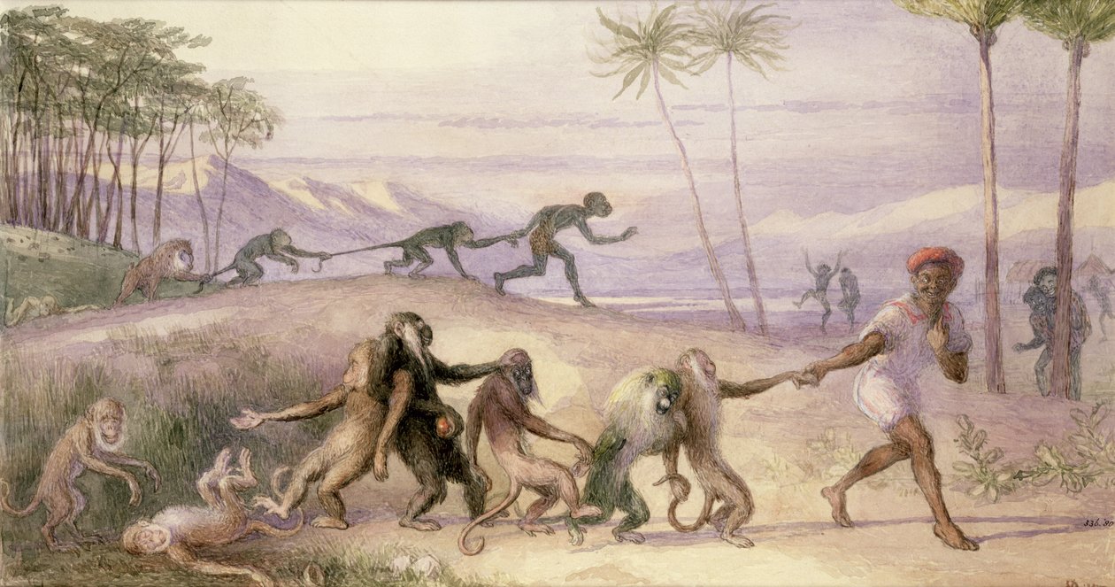 As maneiras e alfândega dos macacos de Richard Doyle