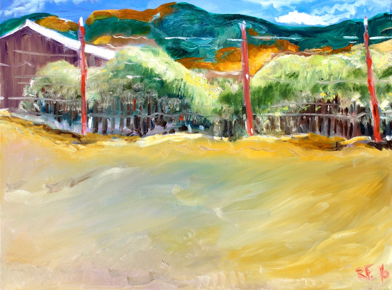 Vinhedo, Sonoma, 2017 de Richard Fox