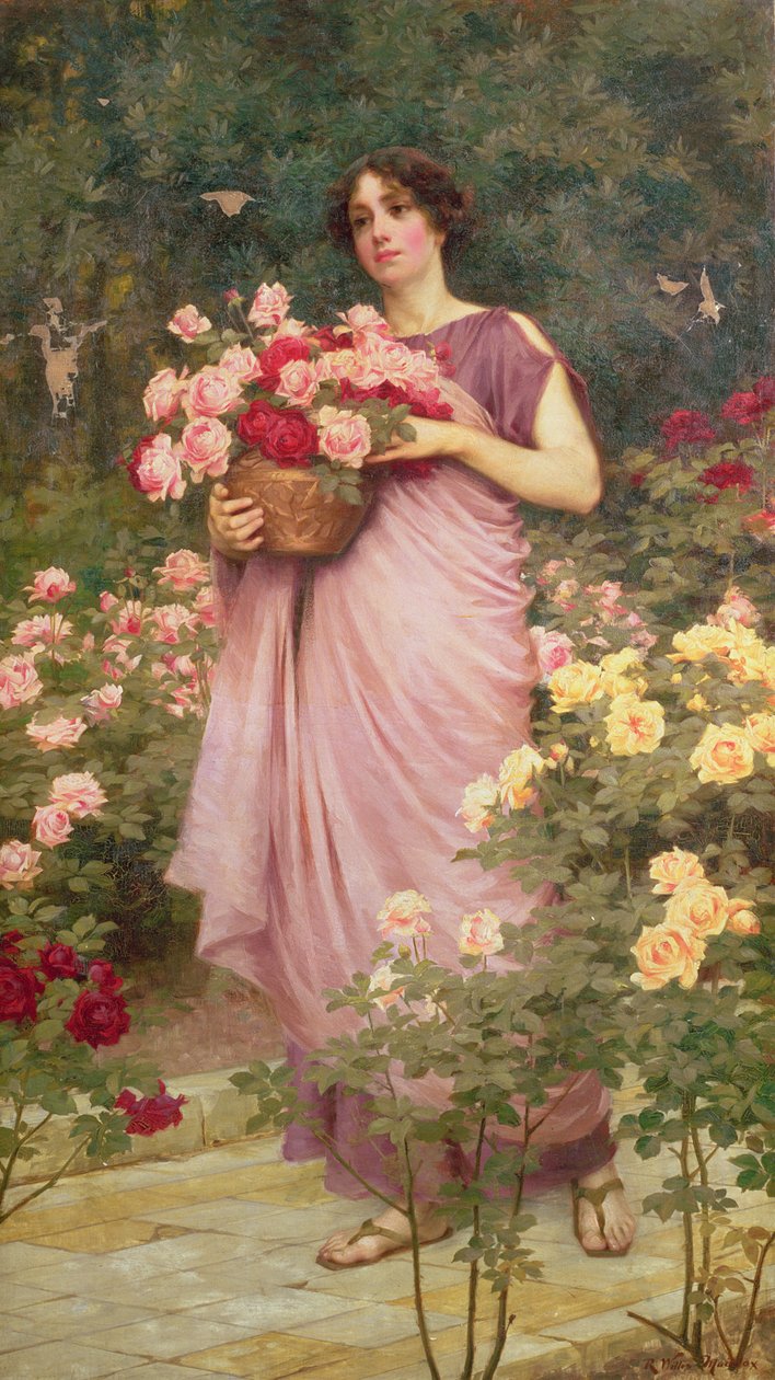 No Jardim das Rosas de Richard Willes Maddox