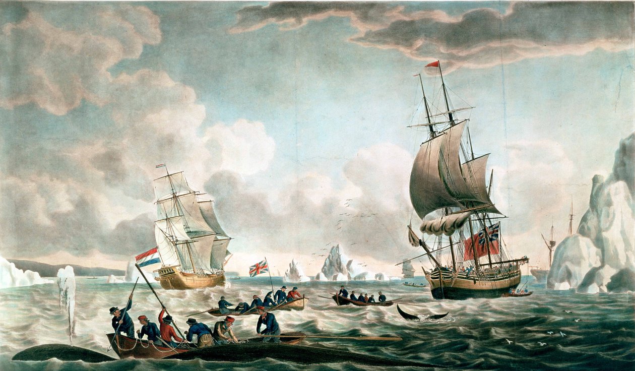 O Noroeste ou Streights Whale Fishery de Davis, publicado por John und Josiah Boydell, 1789 (cor aquatint) de Robert Dodd