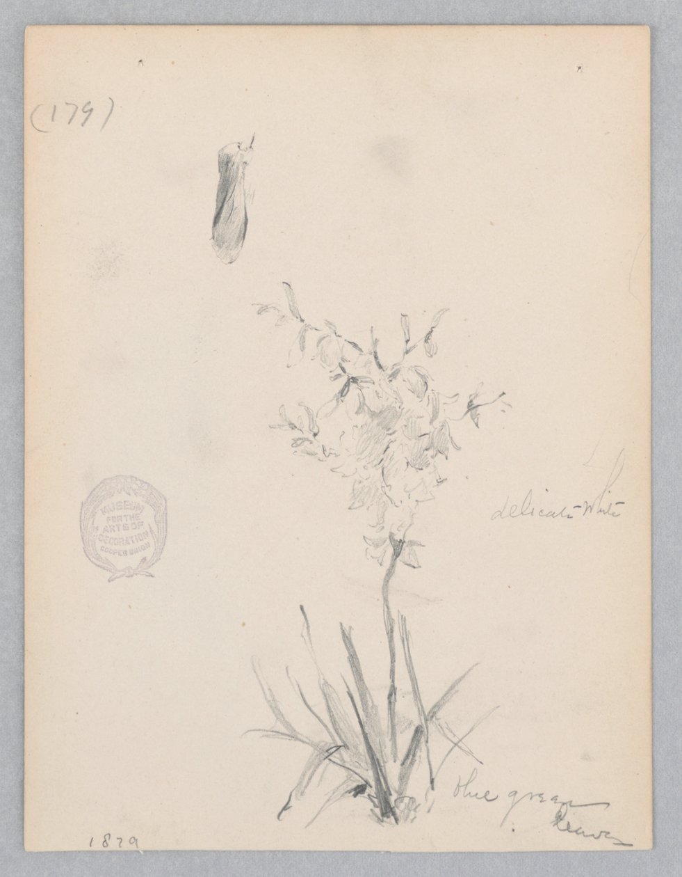 Planta com flores de Robert Frederick Blum