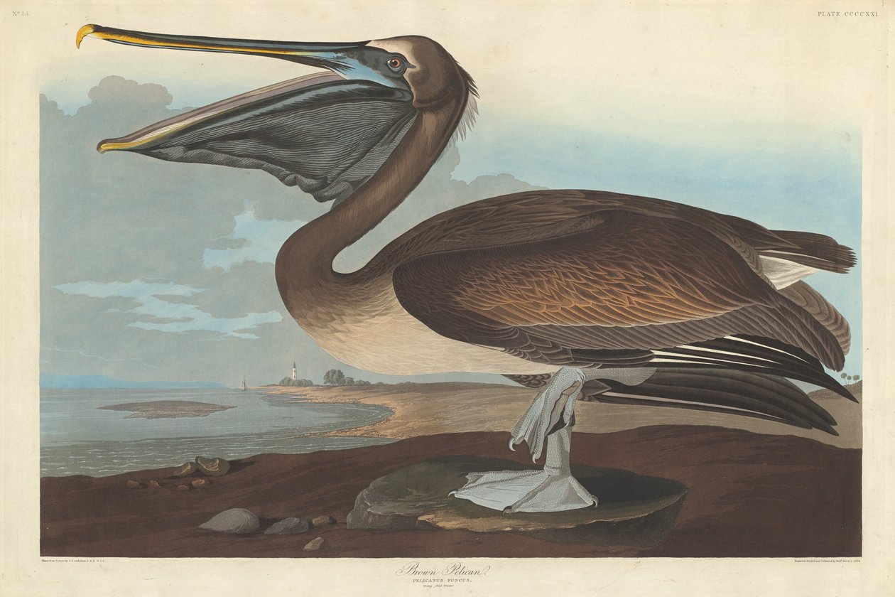 paisagem de Robert Havell