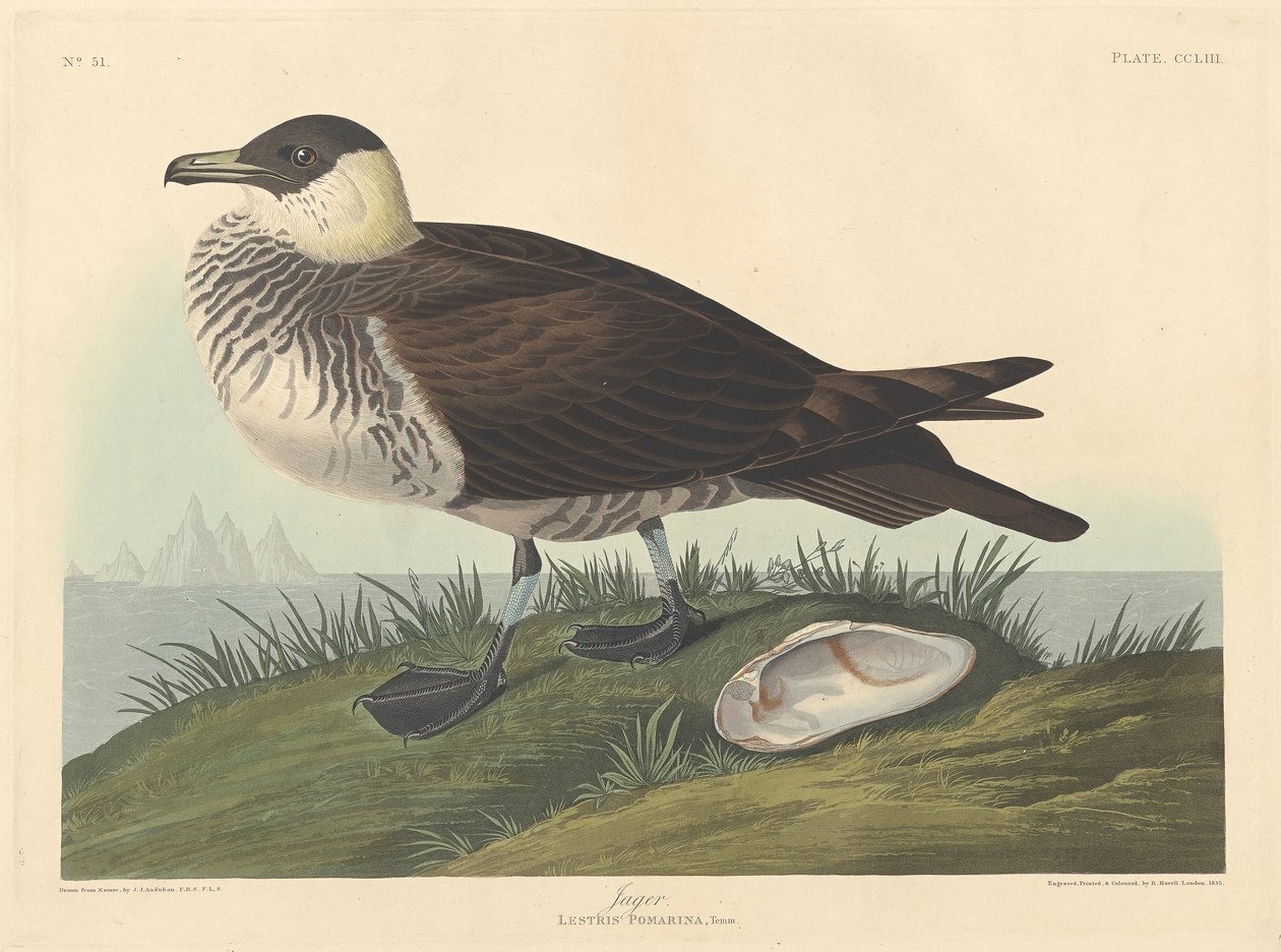Jager, 1835. de Robert Havell