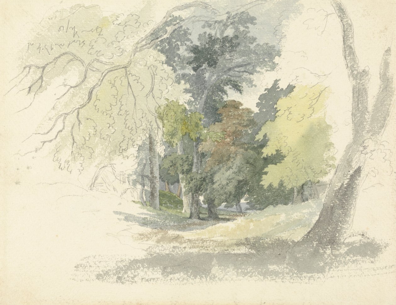 Uma Glade da floresta de Robert Hills