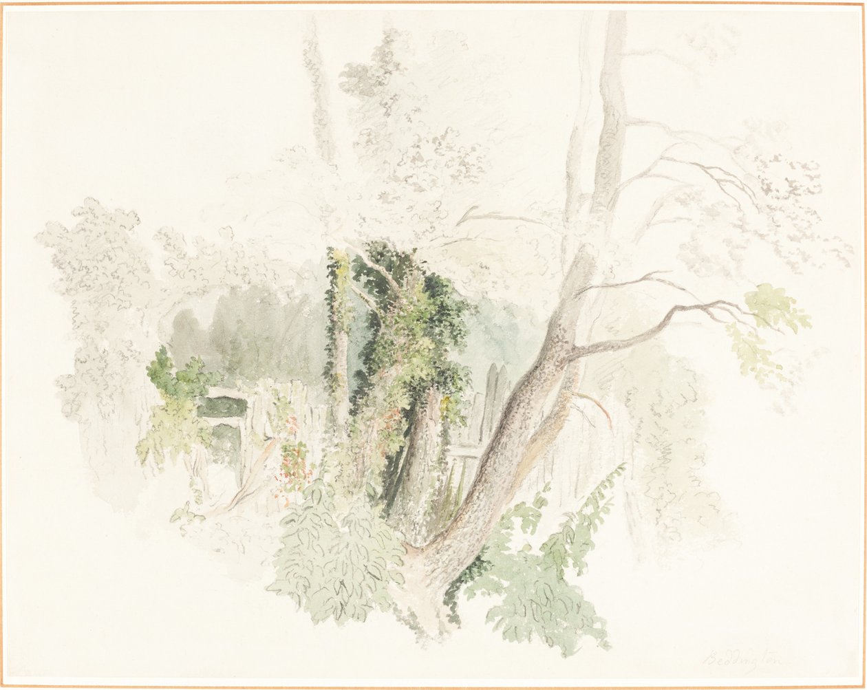 Árvores em Beddington de Robert Hills