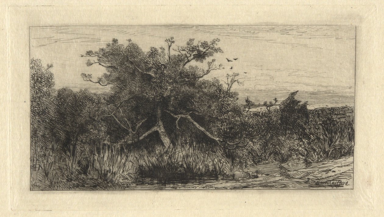 Árvore Retorcida de Robert Swain Gifford