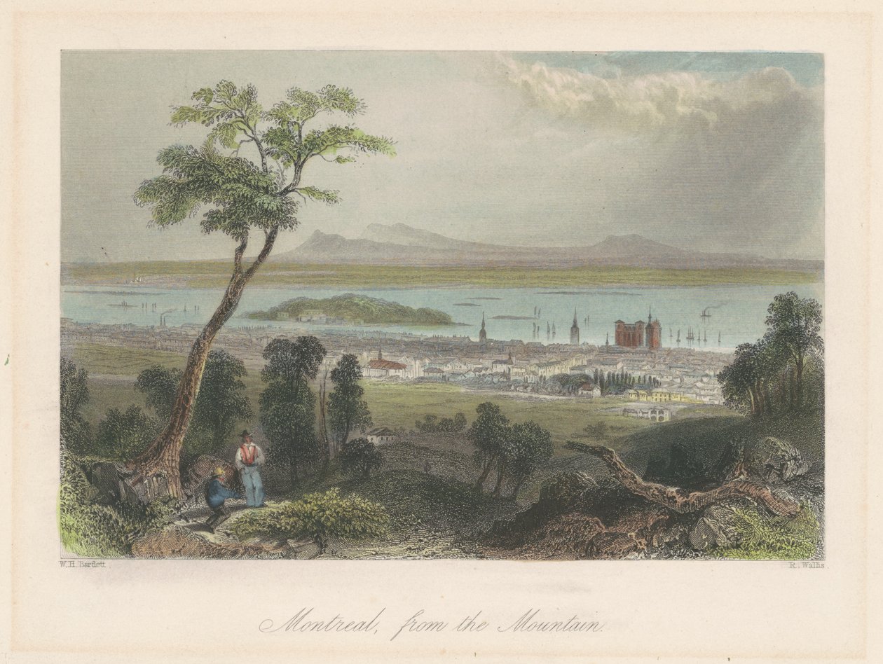 Montreal, da montanha de Robert Wallis