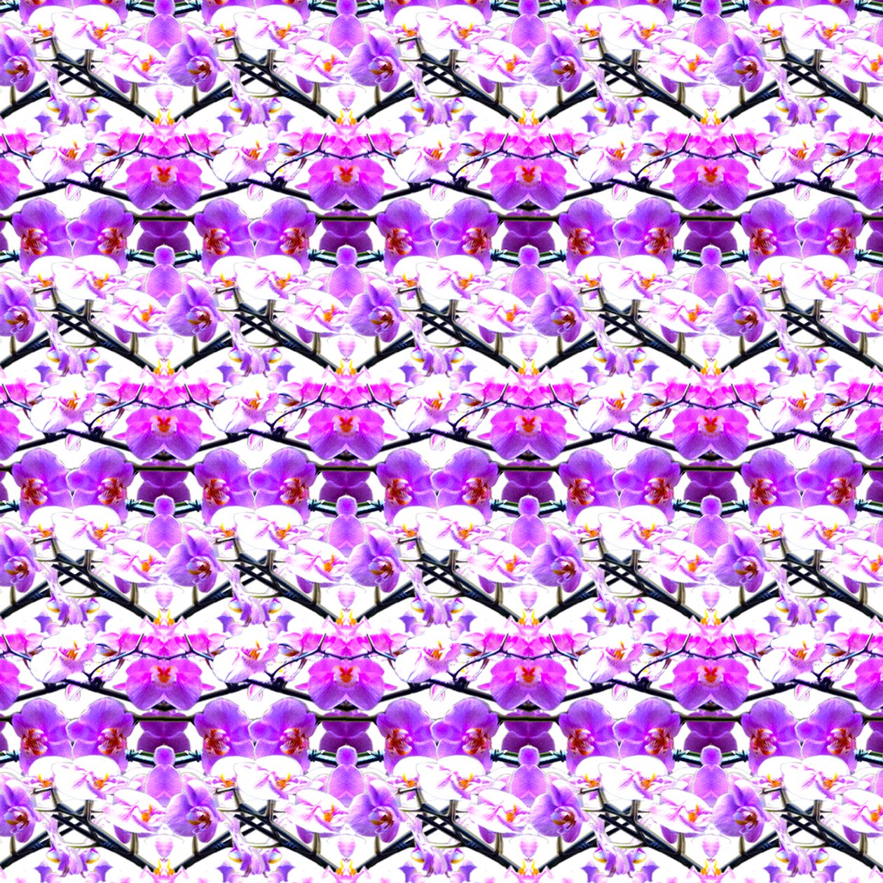 Repetição de orquídea roxa de Robyn Parker