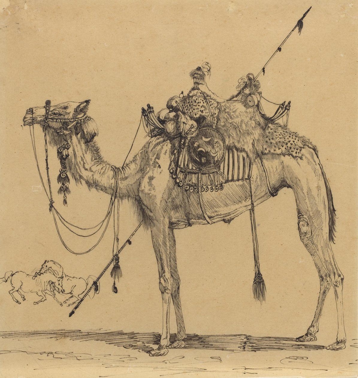 O camelo (caneta e tinta) de Rodolphe Bresdin