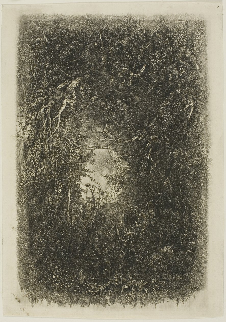 Clareando na Floresta de Rodolphe Bresdin