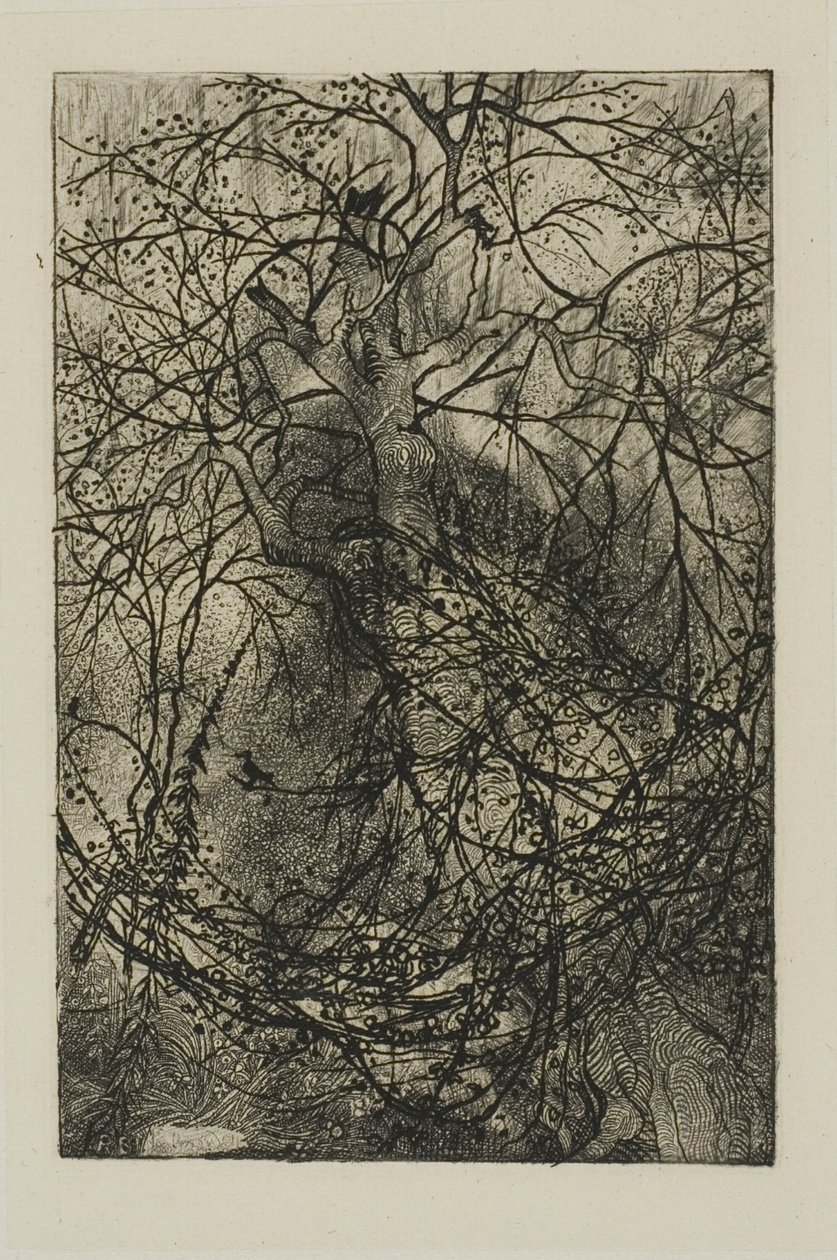 Ramos de árvore de Rodolphe Bresdin
