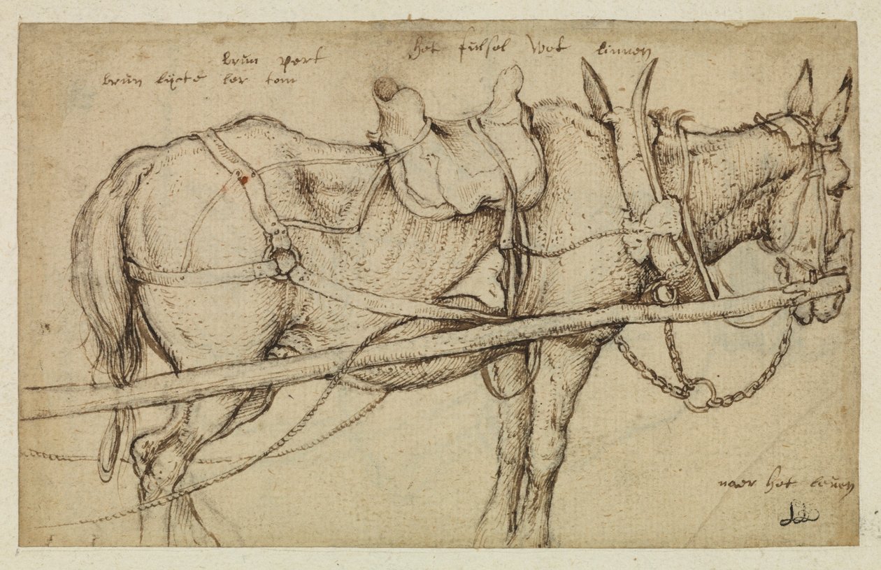 Mula em arnês de Roelandt Jacobsz. Savery