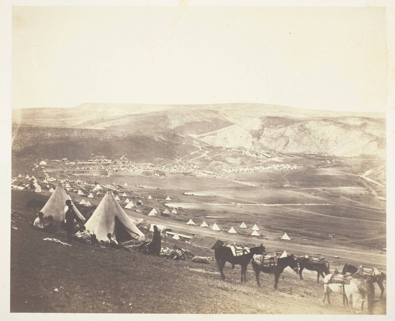 Campo de cavalaria, Balaklava de Roger Fenton