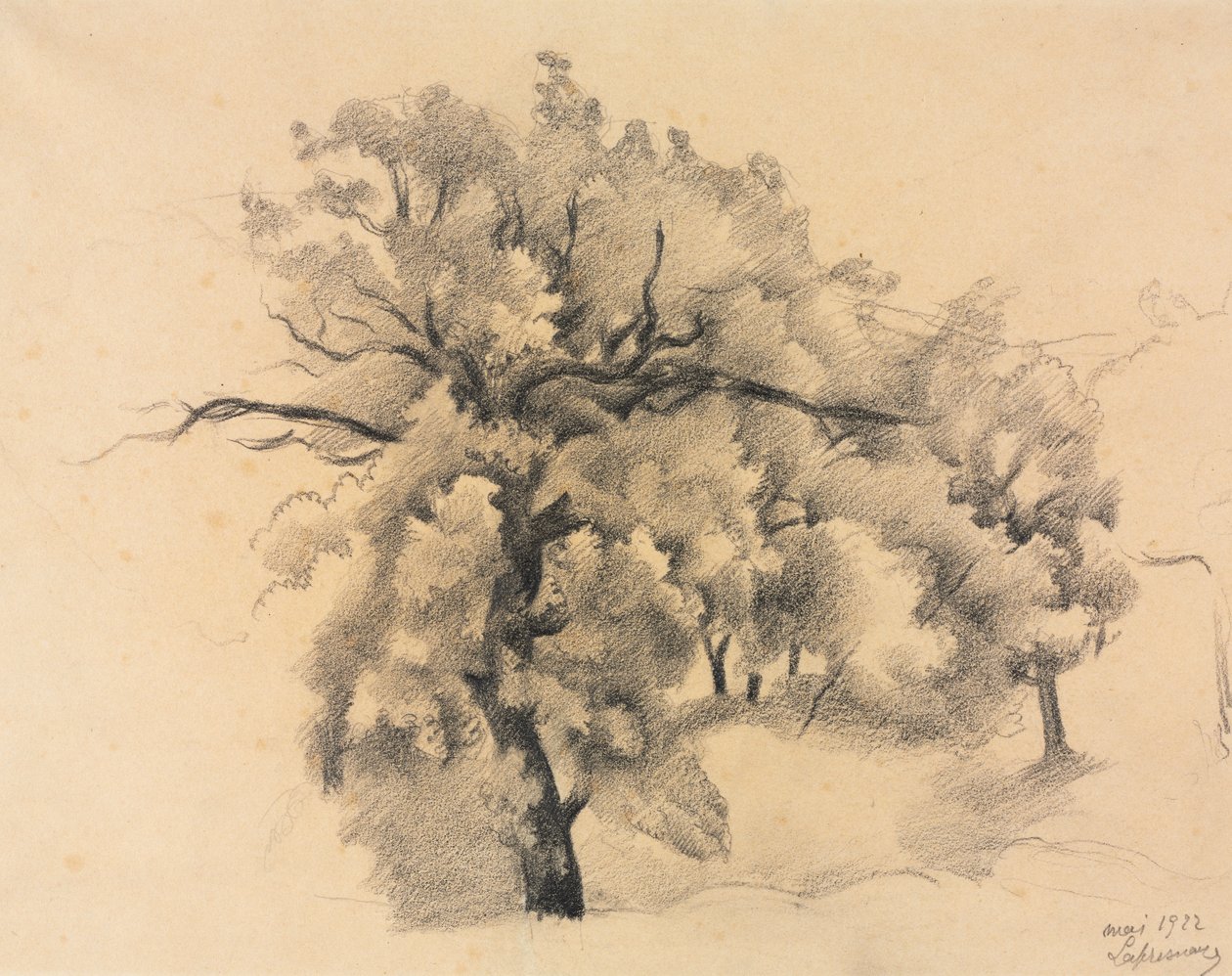 Estudo de Árvores de Roger de La Fresnaye