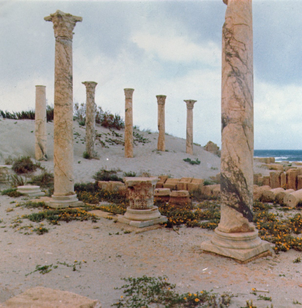 Escavações nas dunas de Roman