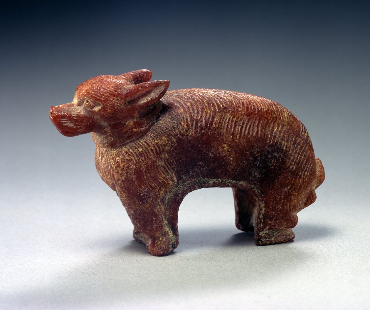 Figura de um cachorro (âmbar) de Roman