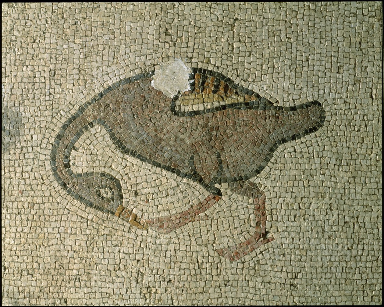 Chão de uma basílica (mosaico) de Roman