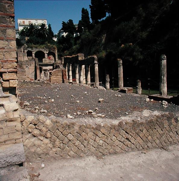 O ginásio de Roman Roman